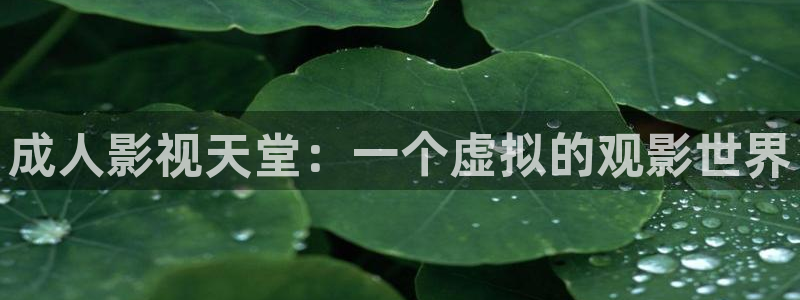 哈尔滨私人影院